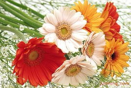 中國鮮花禮品網 打造視覺與品質并存的精品店鋪